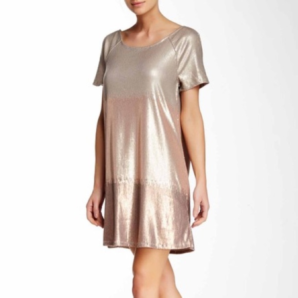 Drenched in sequins mini dress
